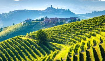 Voyage Of The Vine: Unearthing The World’S Most Exquisite Wine Regions