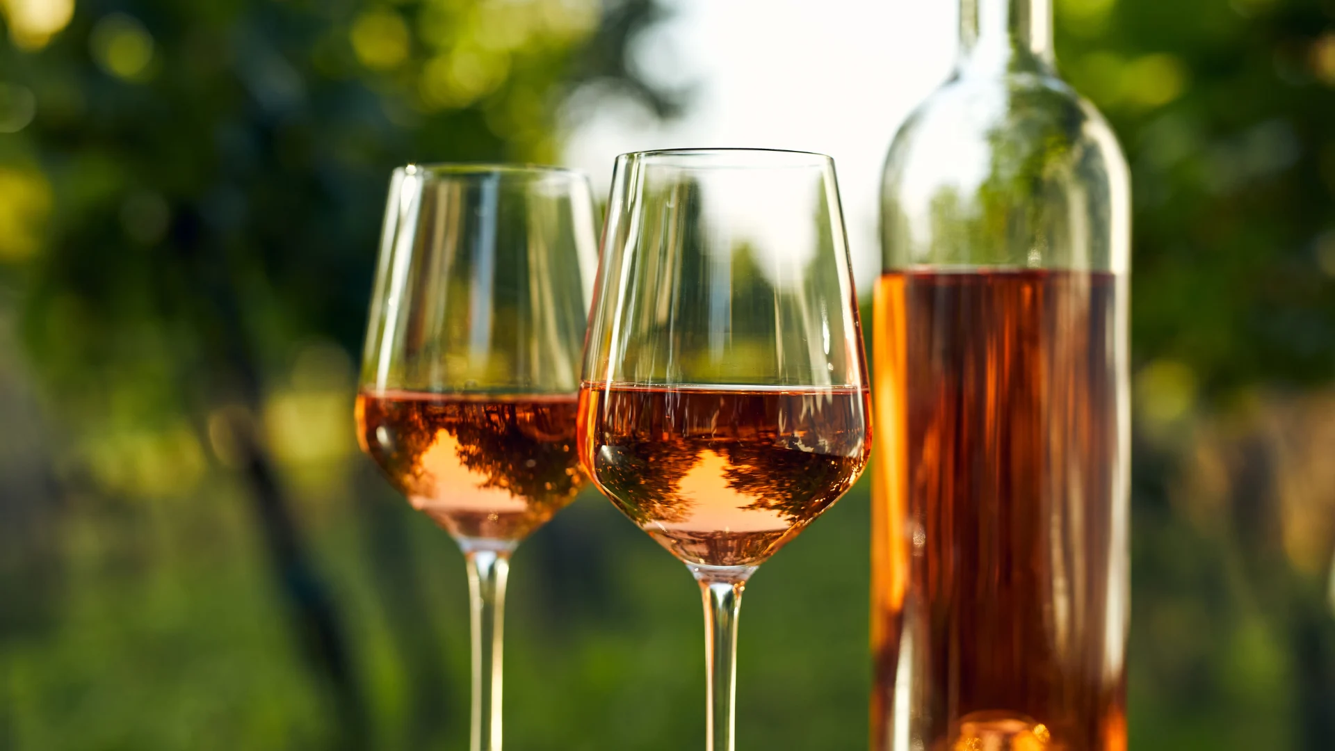 rosé wine
